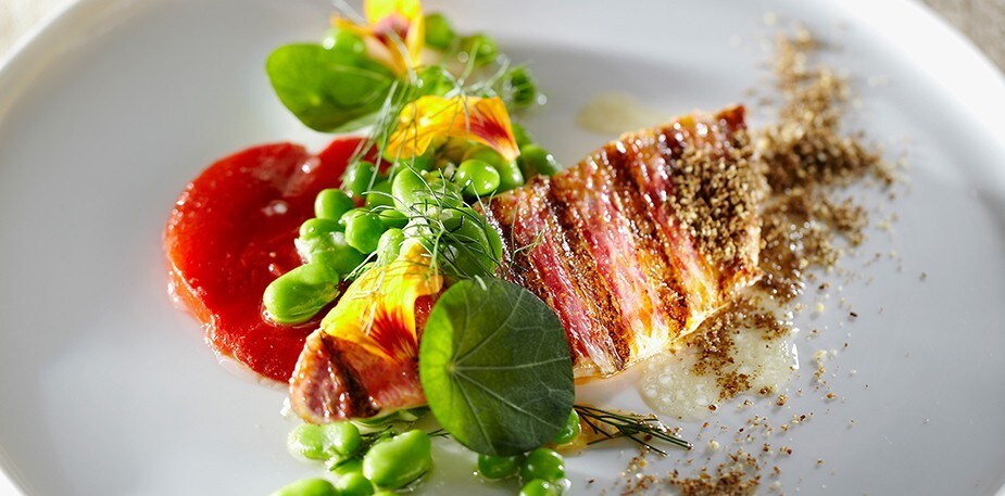 Ideje in trendi postavitve na krožniku