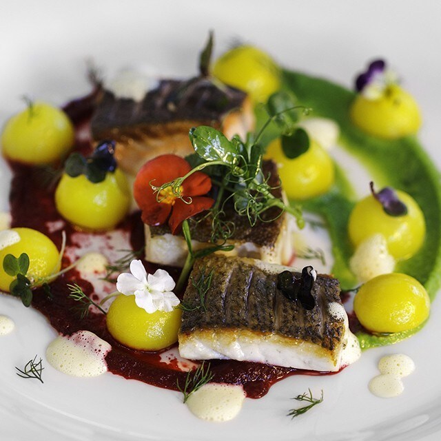 Zakaj so ribje jedi vse pogosteje na meniju?