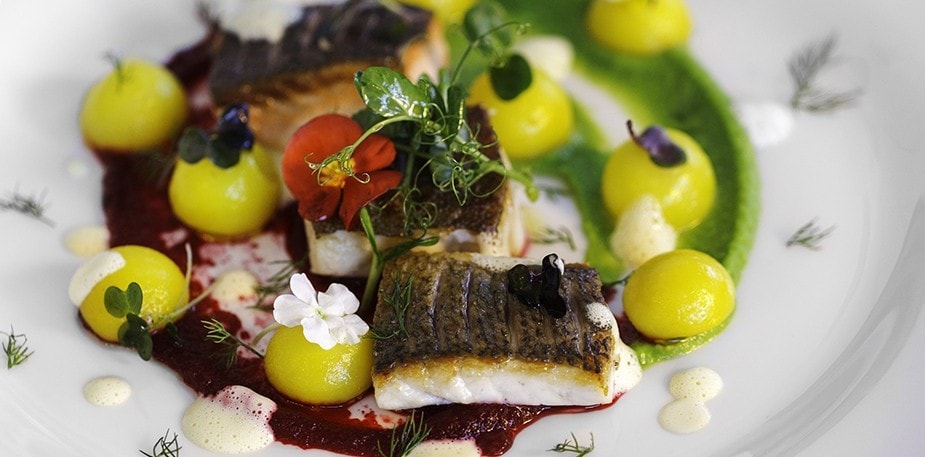 Zakaj so ribje jedi vse pogosteje na meniju?