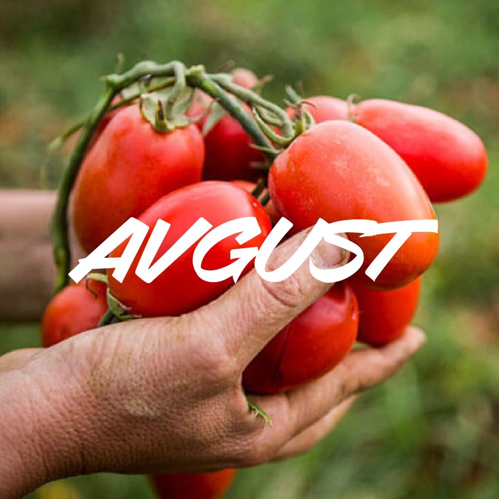 Sezonske sestavine v avgustu