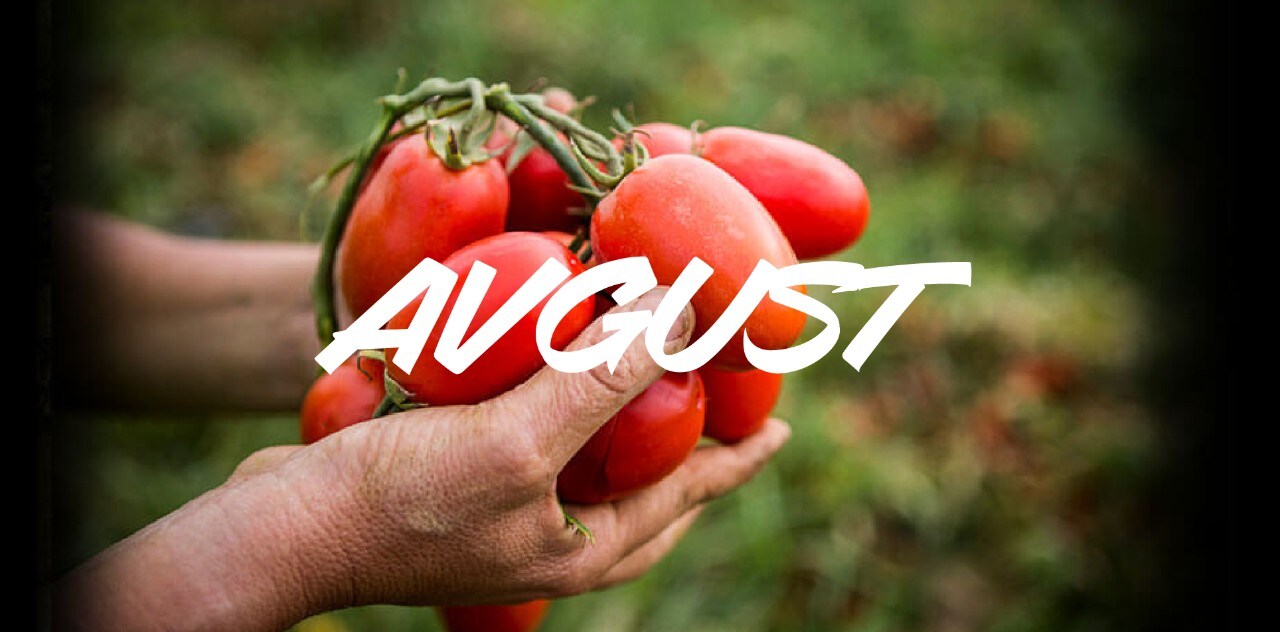 Sezonske sestavine v avgustu