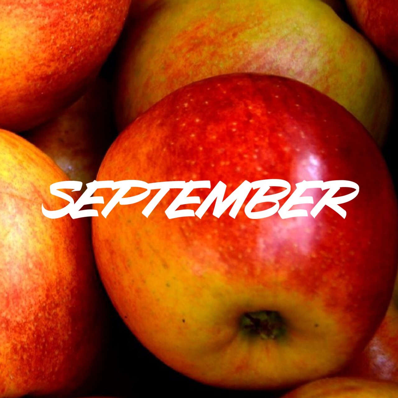 Sezonske sestavine v septembru