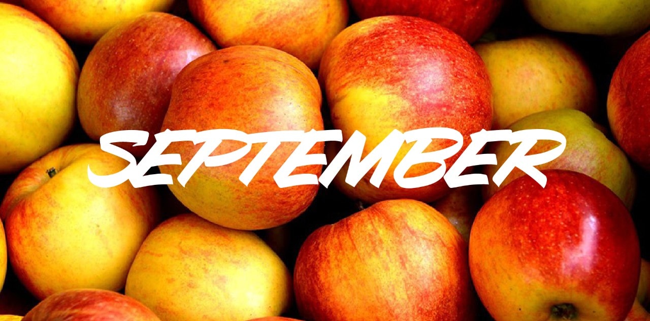 Sezonske sestavine v septembru