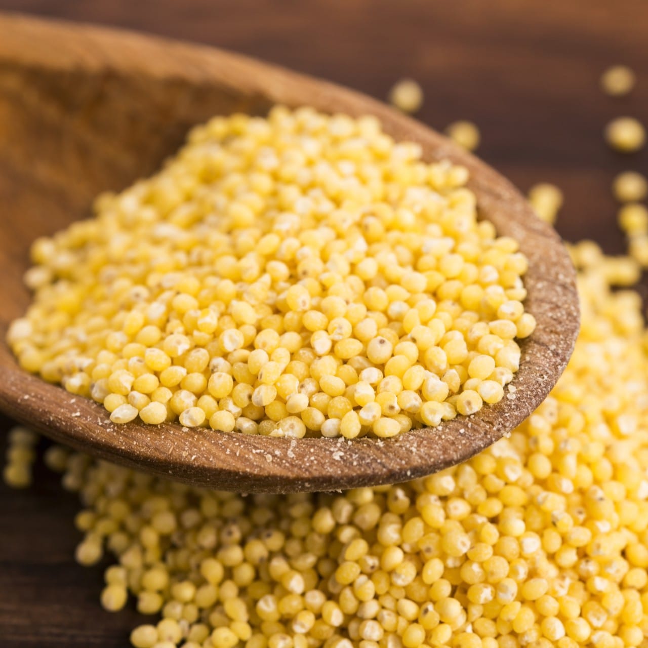 Žita, ki so jih gojili naši predniki, se vračajo