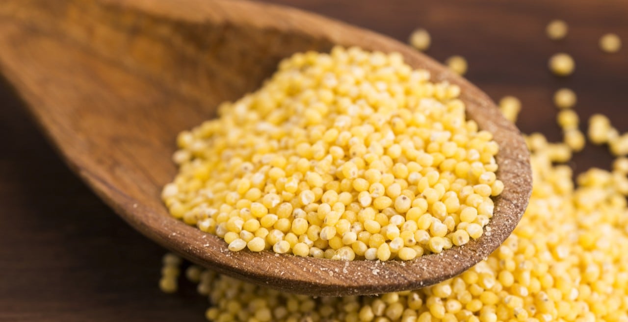 Žita, ki so jih gojili naši predniki, se vračajo