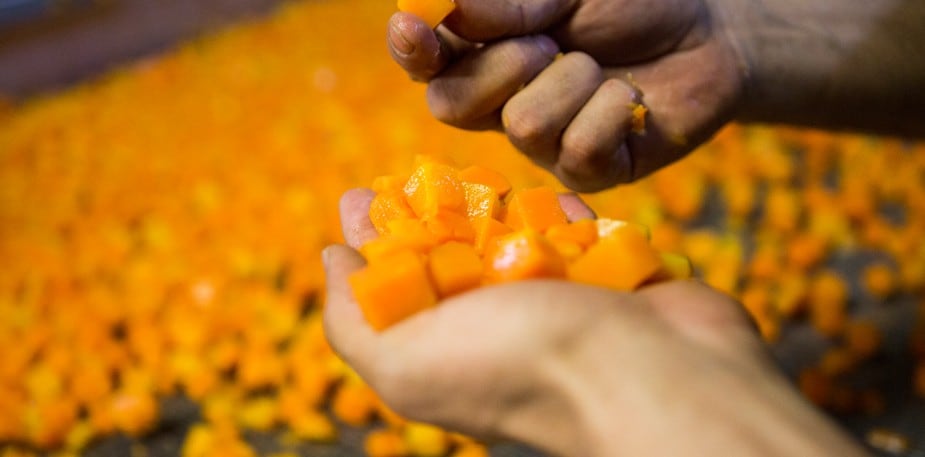 Spoznajte zgodbo Knorr trajnostnega kmetijstva